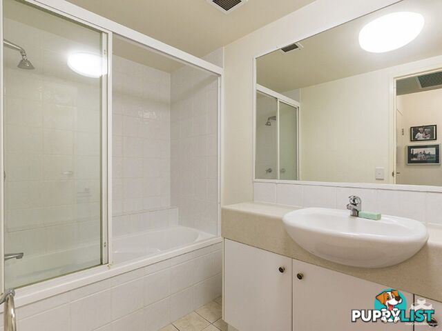 ID:3854172 45 Deakin Street Kangaroo Point QLD 4169