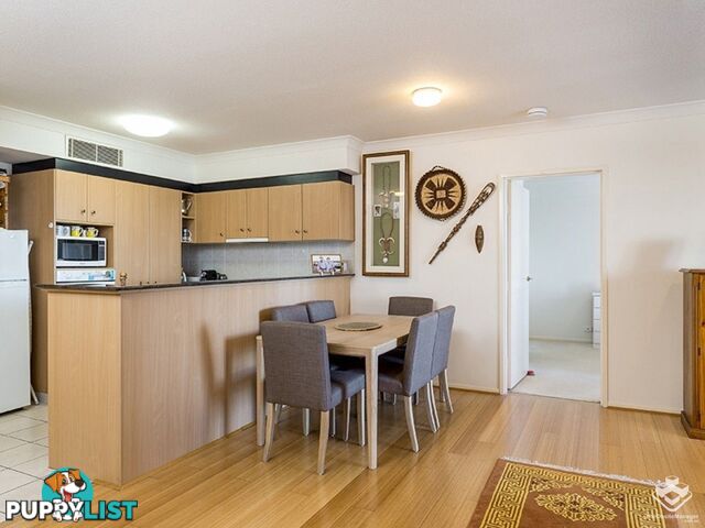 ID:3854172 45 Deakin Street Kangaroo Point QLD 4169