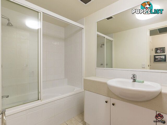 ID:3854172 45 Deakin Street Kangaroo Point QLD 4169