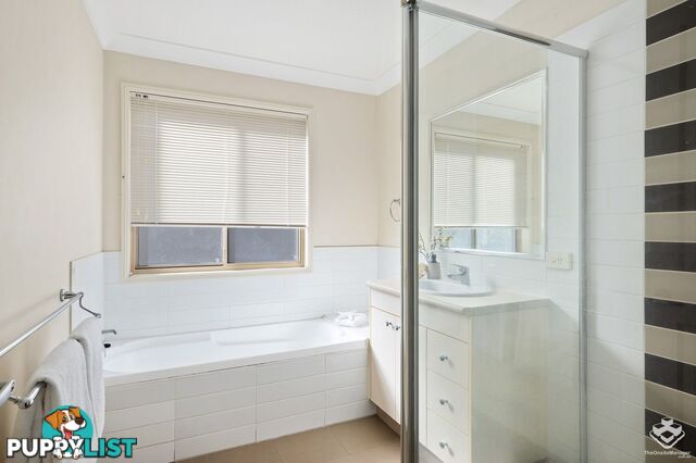 8/50 Johnston Street Carina QLD 4152