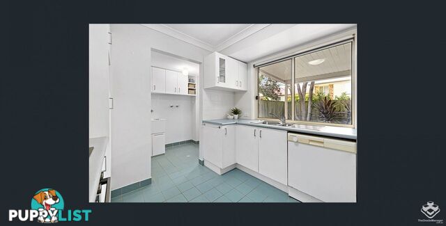 ID:21156435 10 Schumann Close Tingalpa QLD 4173