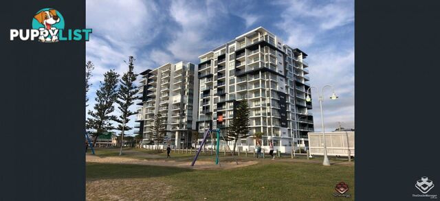 ID:21157315 388 Marine Parade Labrador QLD 4215
