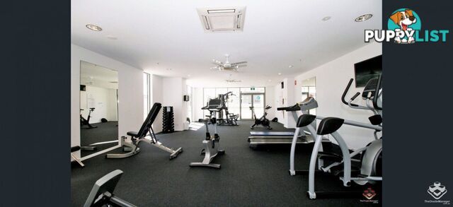 ID:21157315 388 Marine Parade Labrador QLD 4215