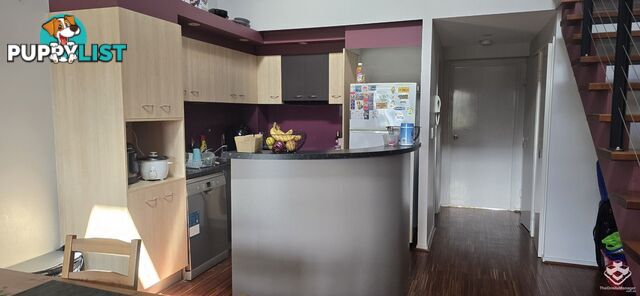 ID:21156324 448 Boundary Street Spring Hill QLD 4000
