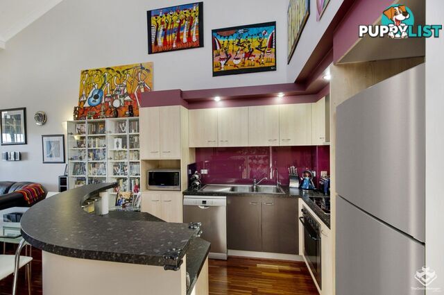 ID:21156324 448 Boundary Street Spring Hill QLD 4000