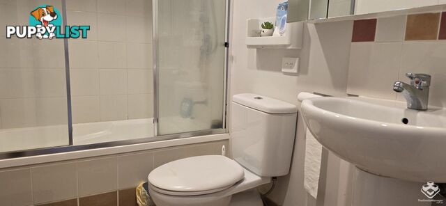 ID:21156324 448 Boundary Street Spring Hill QLD 4000
