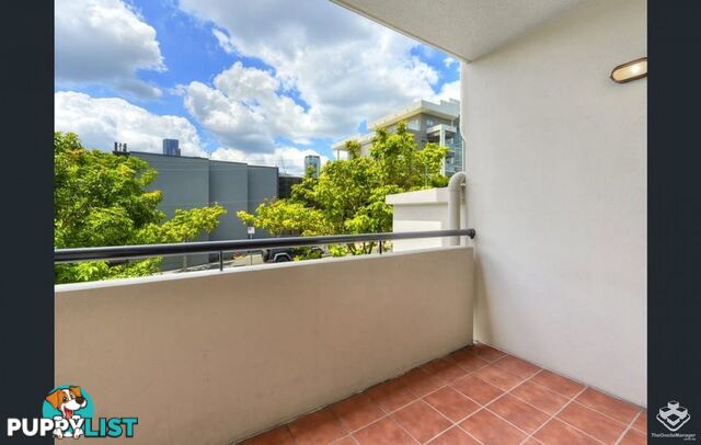 ID:21156324 448 Boundary Street Spring Hill QLD 4000