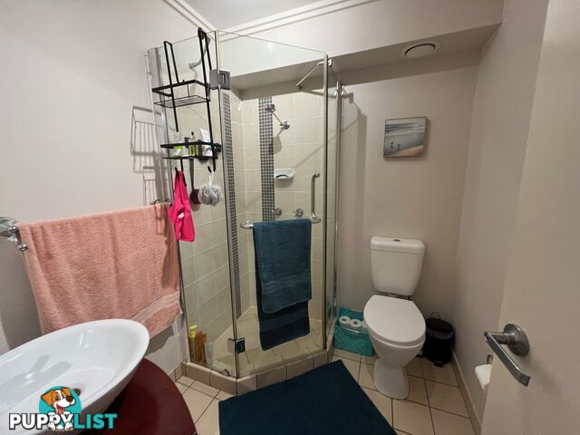 ID:21153475 29-33 Springfield Crescent Manoora QLD 4870