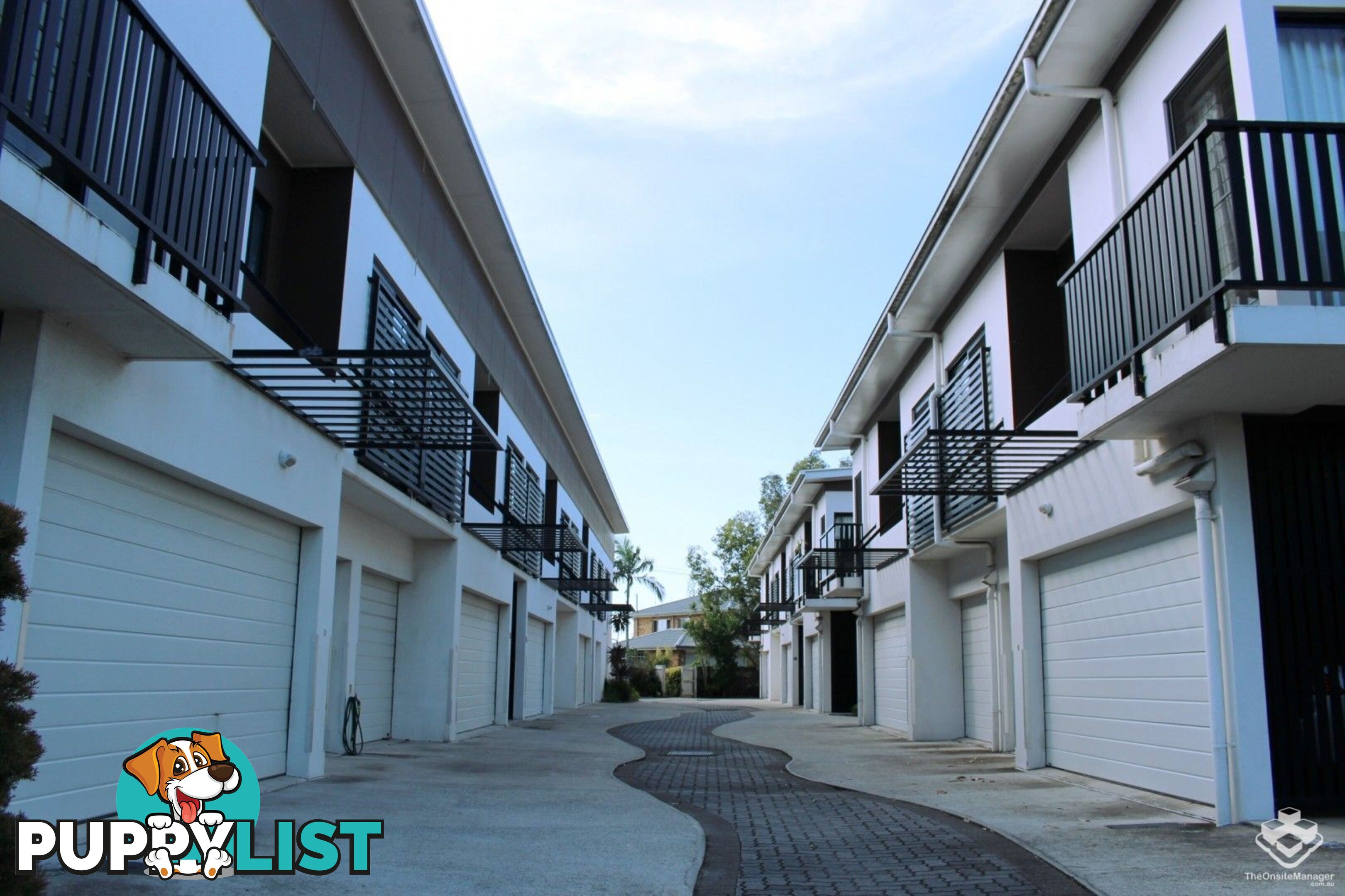 8 Hinley Avenue Maroochydore QLD 4558