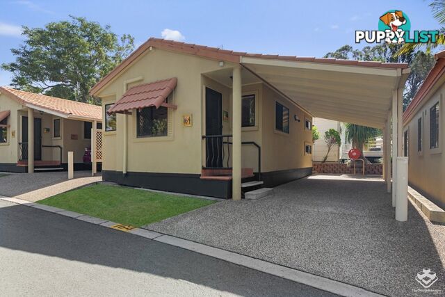 ID:21082592/ 71 Hinde Street Ashmore QLD 4214