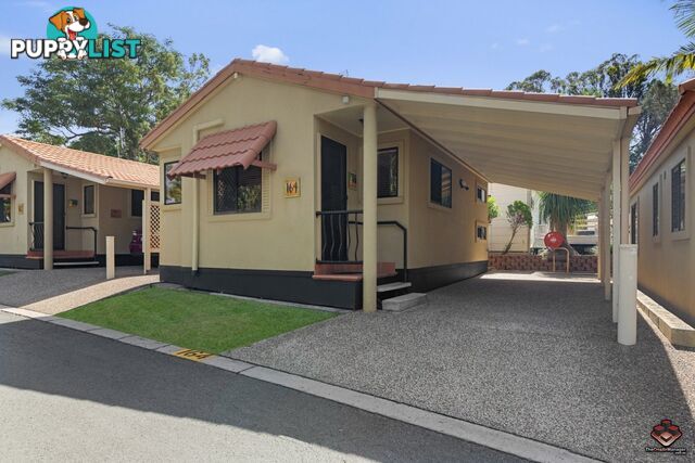 ID:21082592/ 71 Hinde Street Ashmore QLD 4214