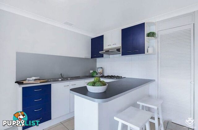 8/15 Waverley Street Annerley QLD 4103
