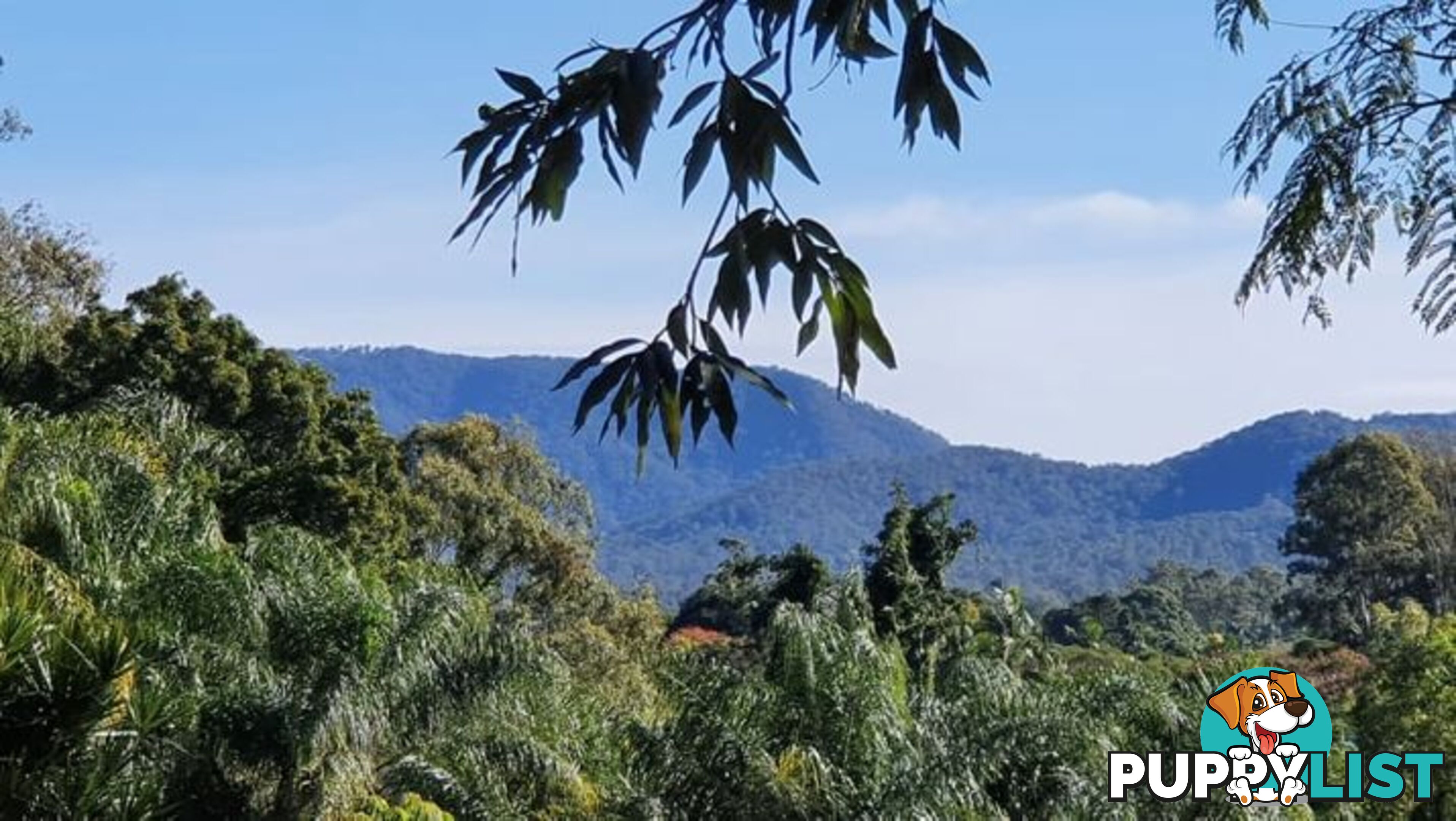 44 McLaren Road Nerang QLD 4211