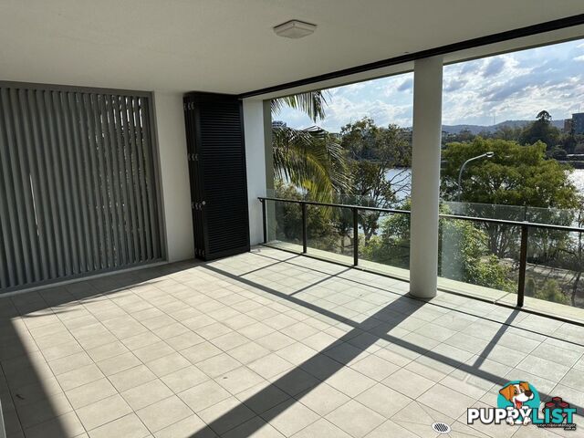 ID:21119966/10 Pidgeon Close West End QLD 4101