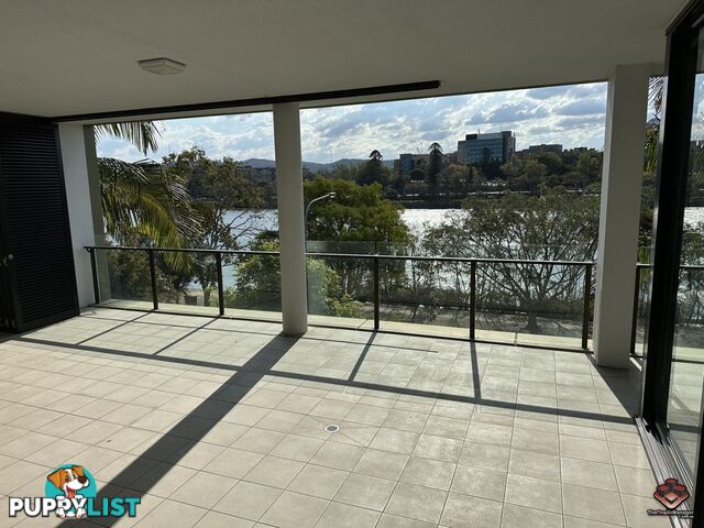 ID:21119966/10 Pidgeon Close West End QLD 4101