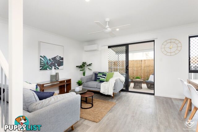 ID:21157707 48 Sean Street Boondall QLD 4034