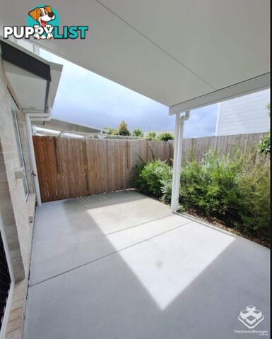 ID:21157707 48 Sean Street Boondall QLD 4034