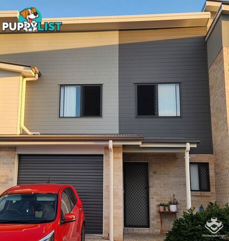 ID:21157707 48 Sean Street Boondall QLD 4034