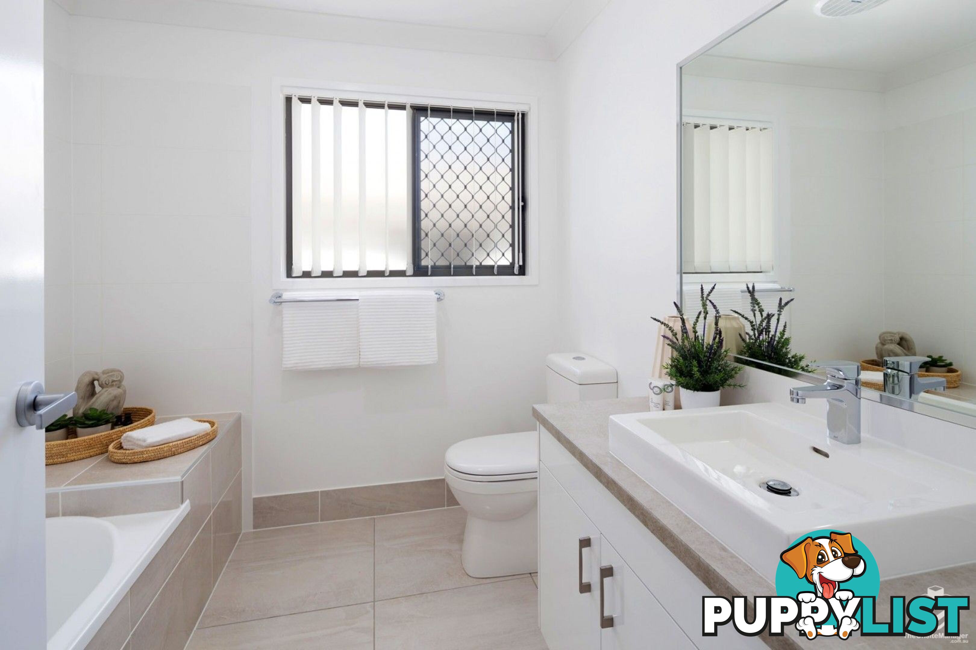ID:21157707 48 Sean Street Boondall QLD 4034