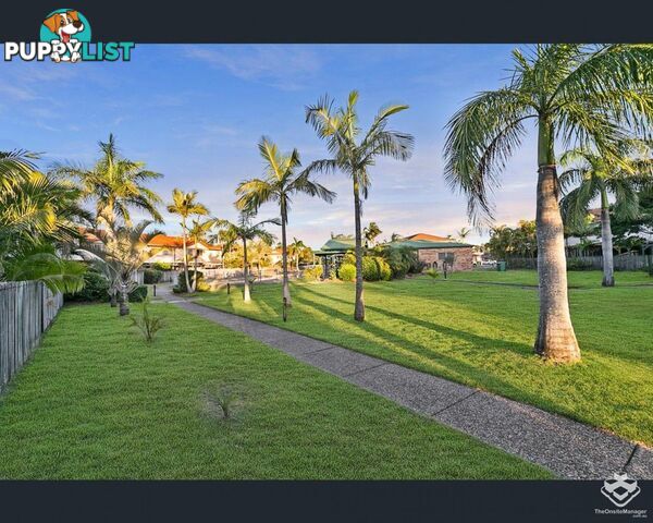 ID:21156647 9 Bayside Court Thorneside QLD 4158