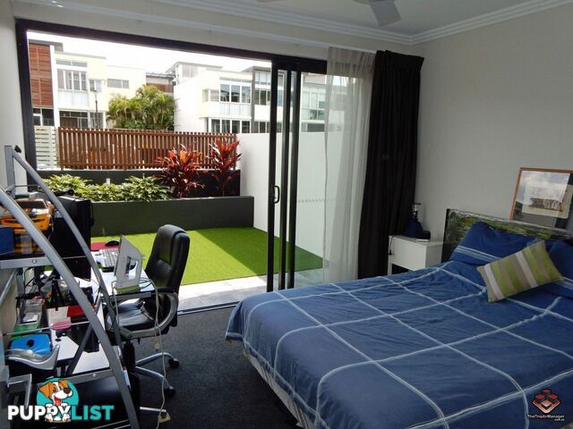 ID:3902381/38 Love Street Bulimba QLD 4171