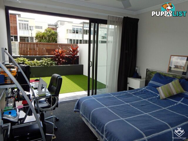 ID:3902381/38 Love Street Bulimba QLD 4171