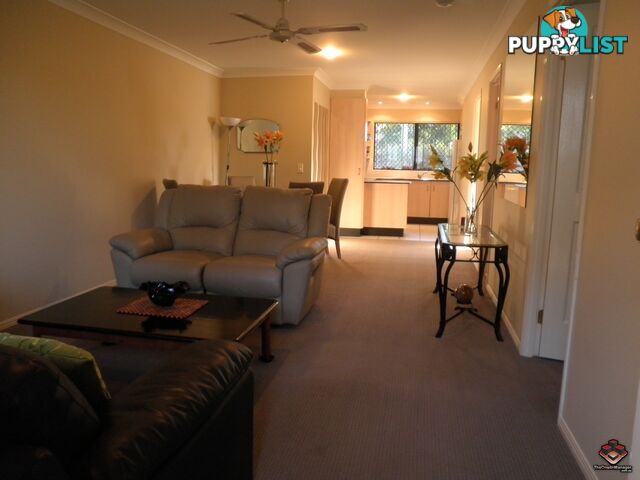 129 Muir Street Labrador QLD 4215