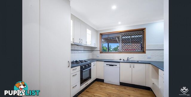 83 Peppercorn Street Sunnybank Hills QLD 4109