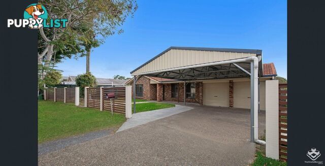 83 Peppercorn Street Sunnybank Hills QLD 4109