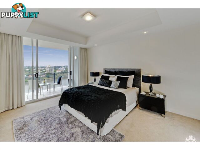 ID:21137314/98 Thorn Street Kangaroo Point QLD 4169