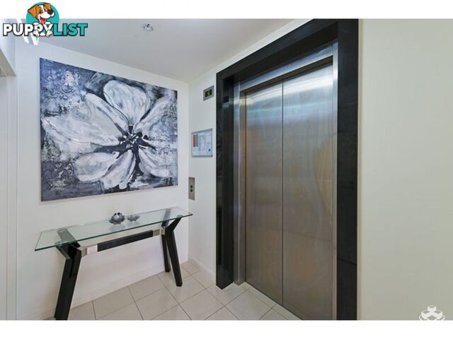 ID:21137314/98 Thorn Street Kangaroo Point QLD 4169