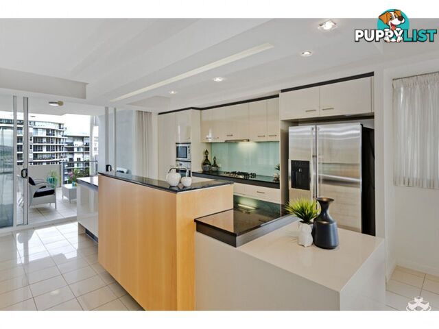 ID:21137314/98 Thorn Street Kangaroo Point QLD 4169