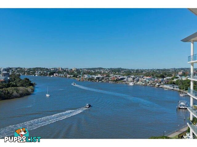 ID:21137314/98 Thorn Street Kangaroo Point QLD 4169