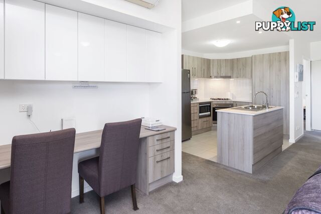 ID:21158596 1 Boulton Drive Nerang QLD 4211