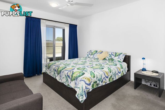 ID:21158596 1 Boulton Drive Nerang QLD 4211