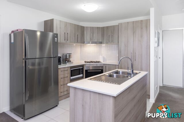 ID:21158596 1 Boulton Drive Nerang QLD 4211