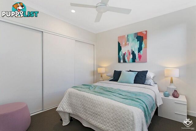 ID:3912728 25 The Corso North Lakes qld 4509
