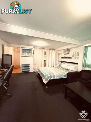 28 Gonzales Street Macgregor QLD 4109