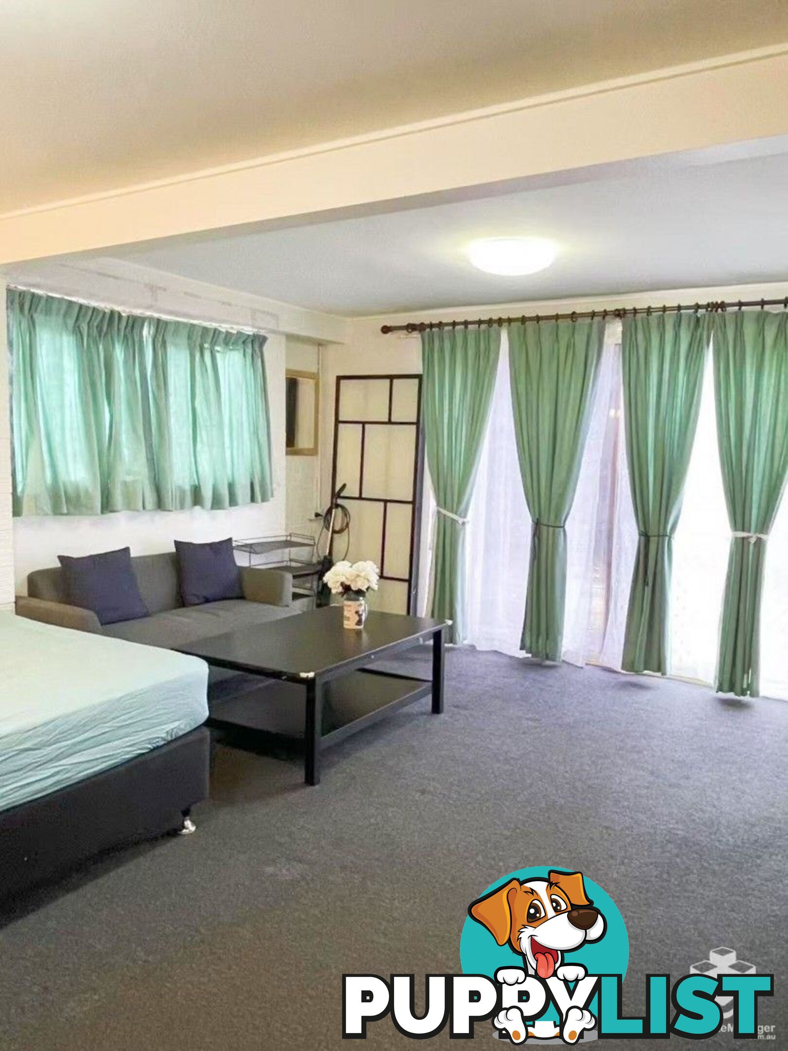 28 Gonzales Street Macgregor QLD 4109