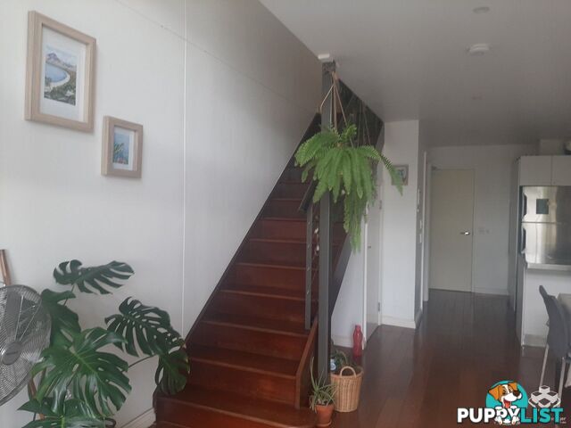 ID:21144865/176 Sydney Street New Farm QLD 4005