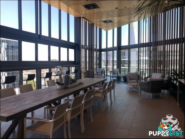 ID:21156889 1CodeliaSt Cordelia Street South Brisbane QLD 4101