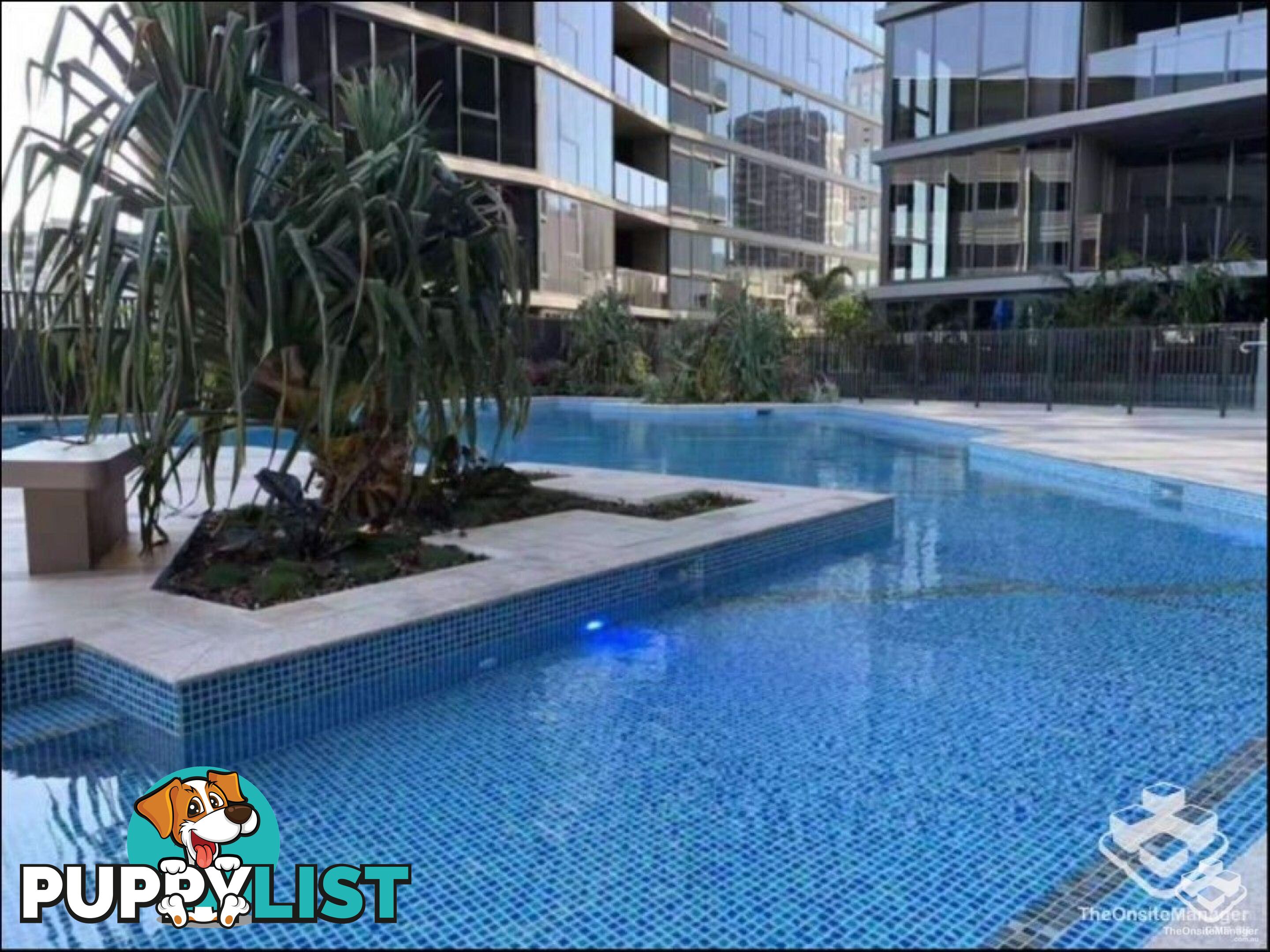 ID:21156889 1CodeliaSt Cordelia Street South Brisbane QLD 4101