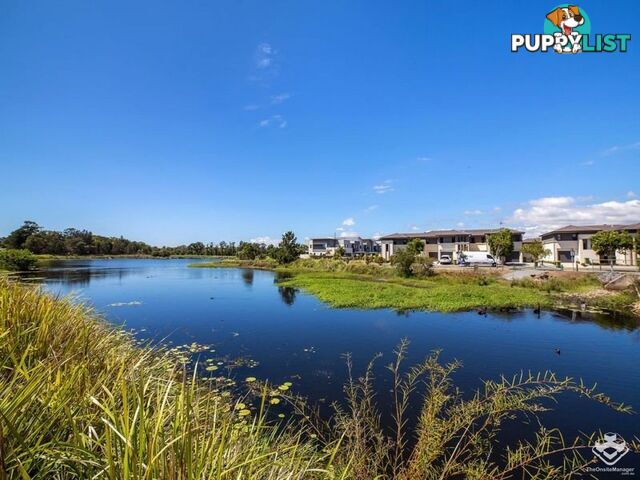 025 / 2 Inland Drive Tugun QLD 4224