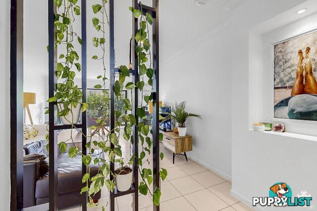 025 / 2 Inland Drive Tugun QLD 4224