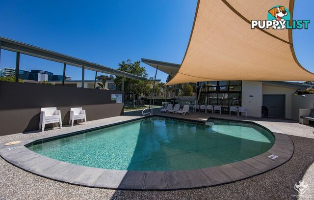 025 / 2 Inland Drive Tugun QLD 4224