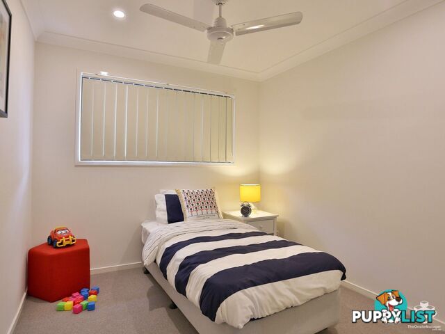 ID:21158674 1 Emerald Place Bridgeman Downs QLD 4035