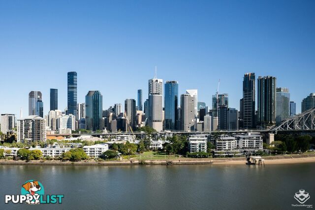 ID:21156892 79 Moray Street New Farm QLD 4005