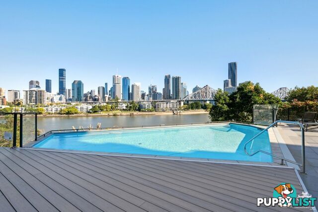 ID:21156892 79 Moray Street New Farm QLD 4005