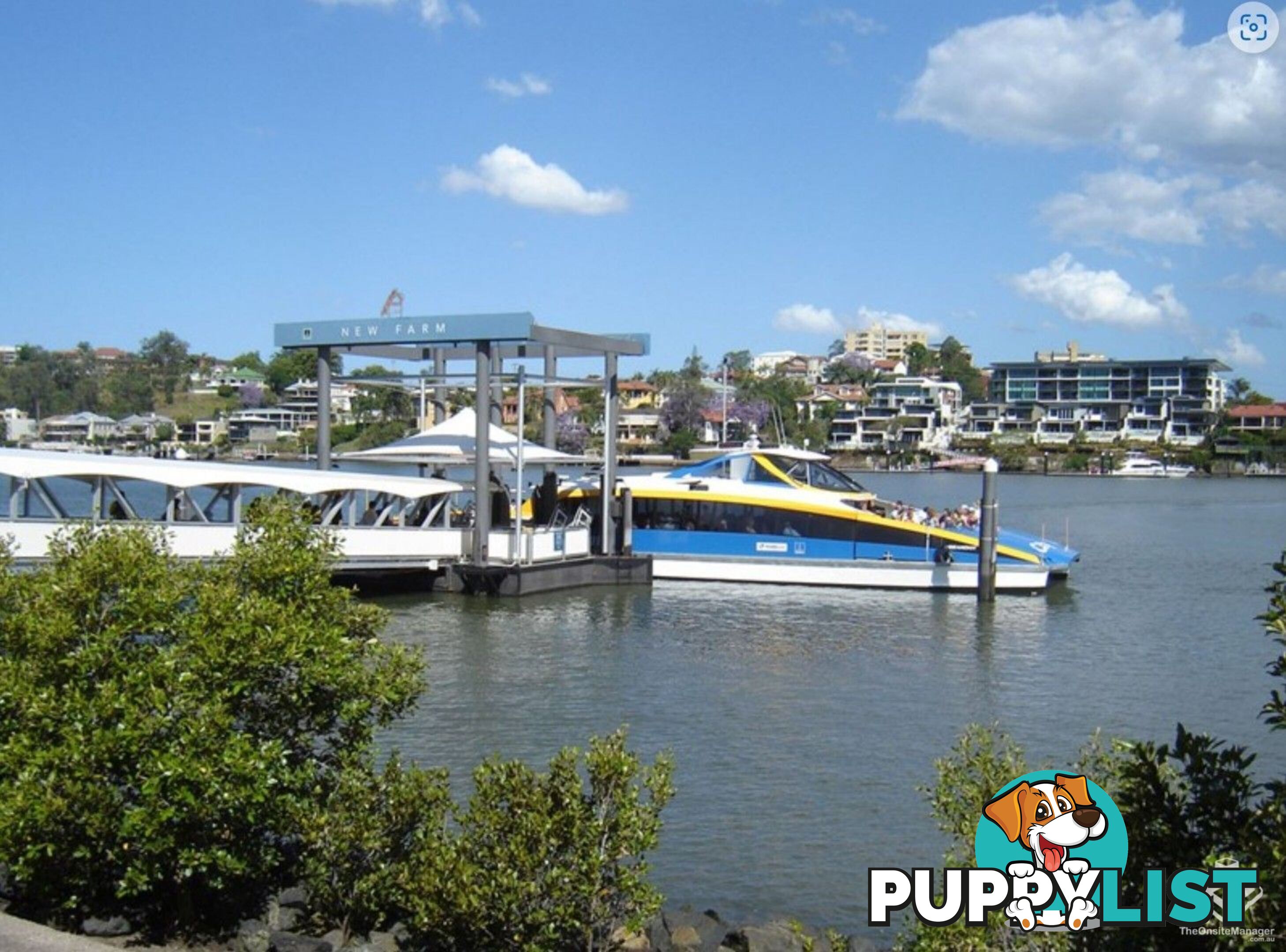 ID:21156892 79 Moray Street New Farm QLD 4005