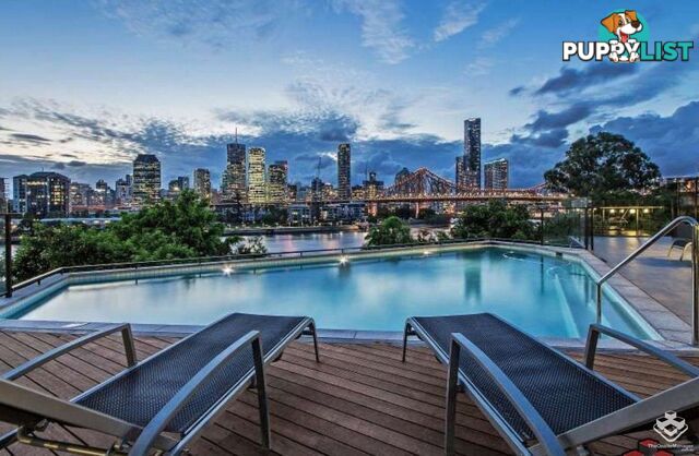 ID:21156892 79 Moray Street New Farm QLD 4005